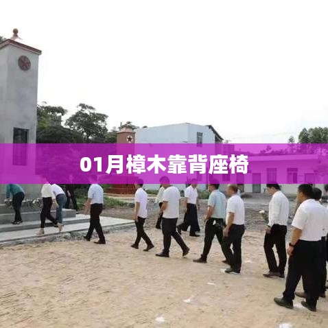 樟木靠背座椅，一月的时尚家具之选
