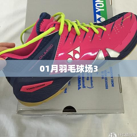 难得可贵
