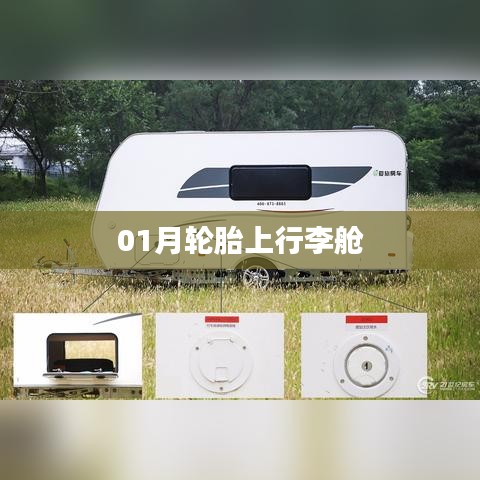成功案例 第63页