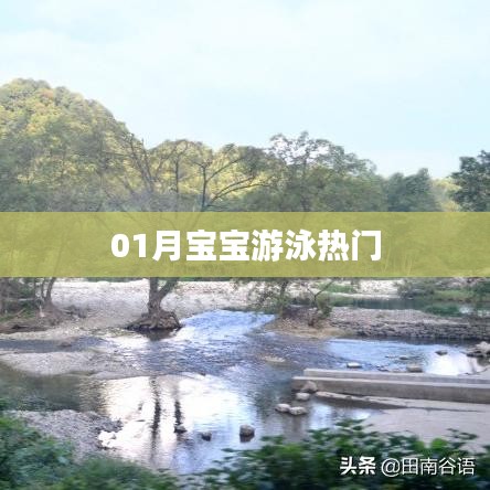 宝宝游泳热门活动，一月畅游乐趣多！