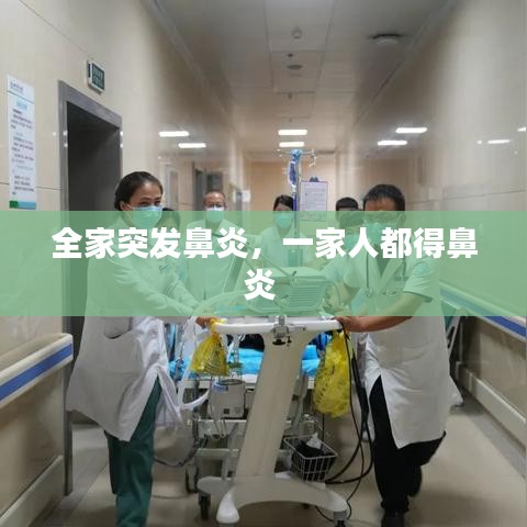 全家突发鼻炎，一家人都得鼻炎 