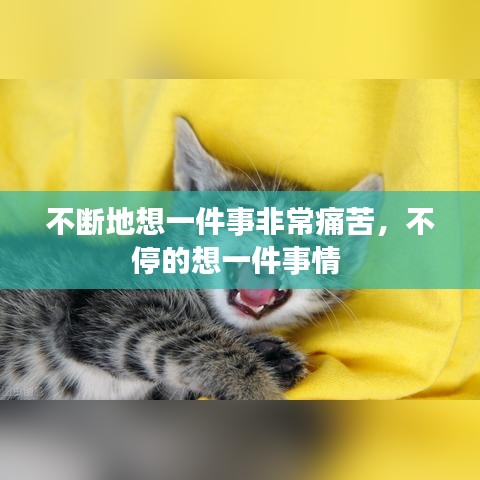 新闻中心 第74页