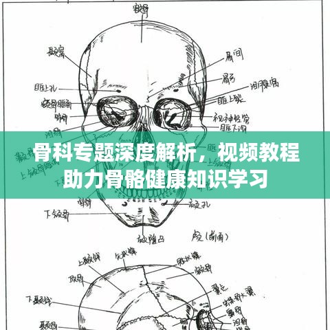 骨科专题深度解析，视频教程助力骨骼健康知识学习