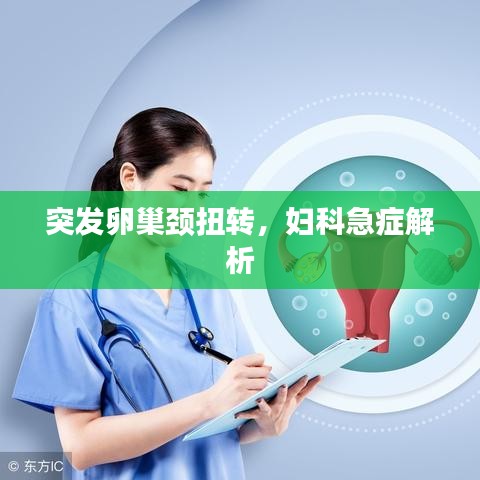 联系我们 第58页