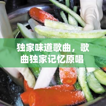 独家味道歌曲，歌曲独家记忆原唱 