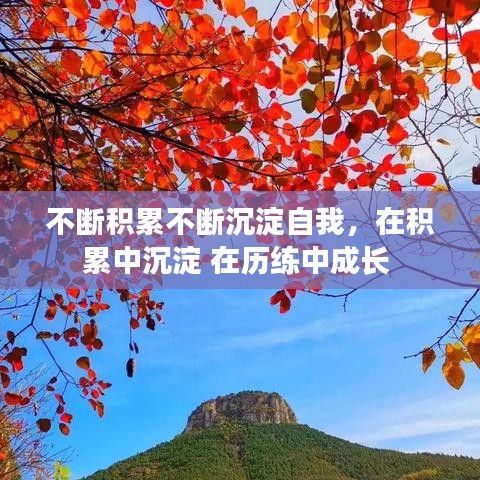 采椽不斫 第2页