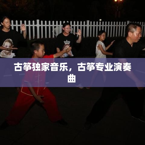古筝独家音乐，古筝专业演奏曲 
