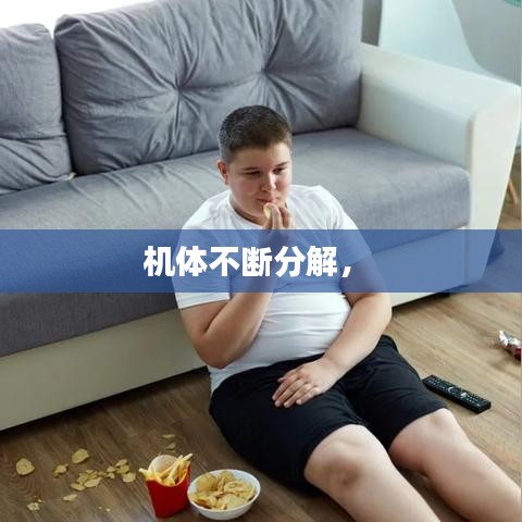 机体不断分解， 