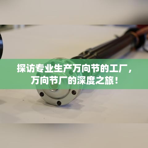 探访专业生产万向节的工厂，万向节厂的深度之旅！