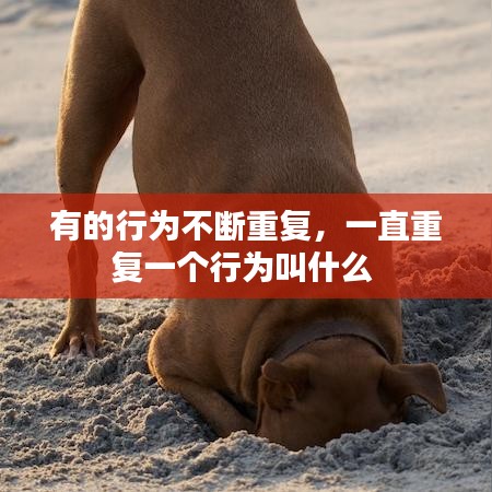 有的行为不断重复，一直重复一个行为叫什么 
