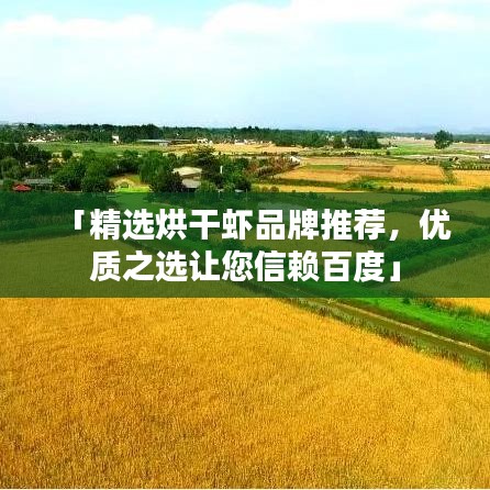 「精选烘干虾品牌推荐，优质之选让您信赖百度」