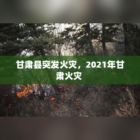 甘肃县突发火灾，2021年甘肃火灾 