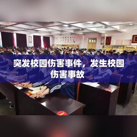 突发校园伤害事件，发生校园伤害事故 