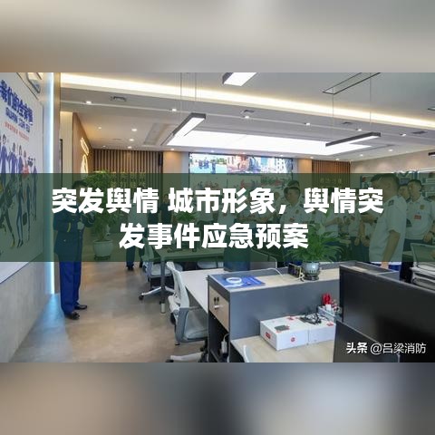 突发舆情 城市形象，舆情突发事件应急预案 