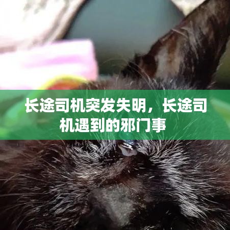 长途司机突发失明，长途司机遇到的邪门事 