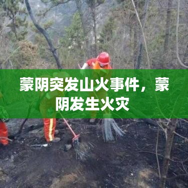 蒙阴突发山火事件，蒙阴发生火灾 