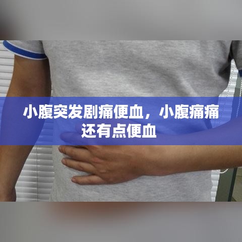 小腹突发剧痛便血，小腹痛痛还有点便血 