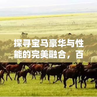 探寻宝马豪华与性能的完美融合，百度带你领略爱的车风采