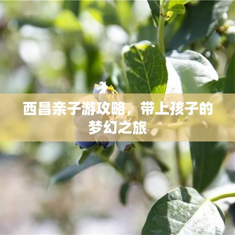 西昌亲子游攻略，带上孩子的梦幻之旅
