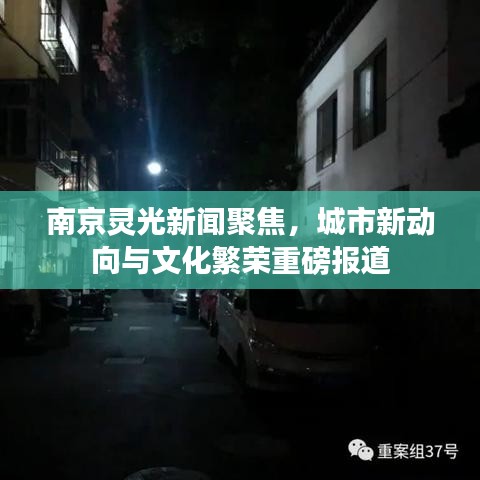南京灵光新闻聚焦，城市新动向与文化繁荣重磅报道