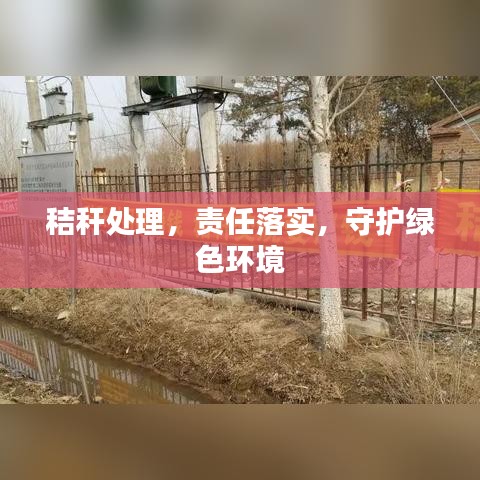 秸秆处理，责任落实，守护绿色环境