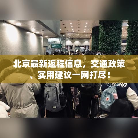北京最新返程信息，交通政策、实用建议一网打尽！