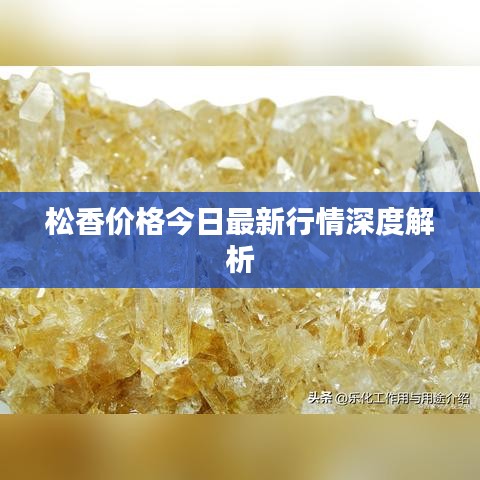 松香价格今日最新行情深度解析