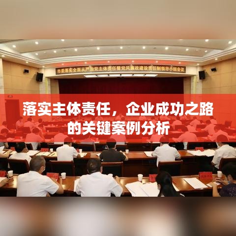 落实主体责任，企业成功之路的关键案例分析