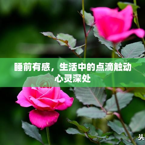 睡前有感，生活中的点滴触动心灵深处
