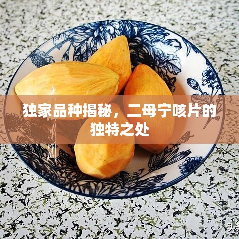 独家品种揭秘，二母宁咳片的独特之处