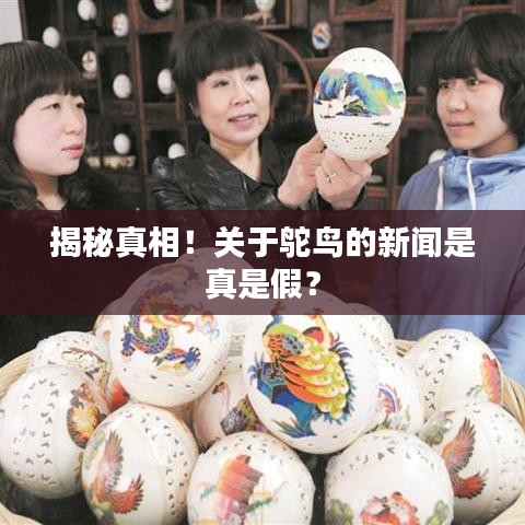 揭秘真相！关于鸵鸟的新闻是真是假？