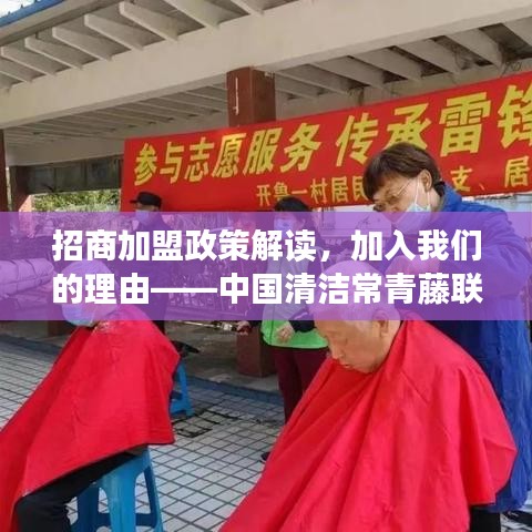 中国清洁常青藤联盟招商加盟政策深度解读，加盟理由揭秘