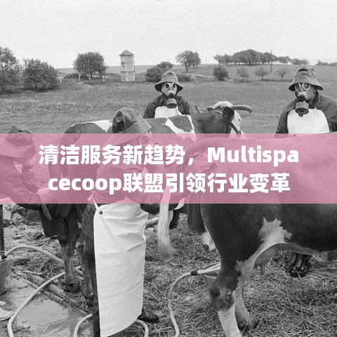 清洁服务革新引领者，Multispacecoop联盟行业变革之道