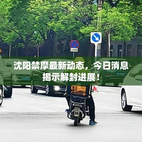 沈阳禁摩最新动态，今日消息揭示解封进展！