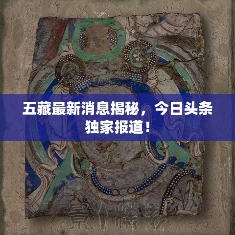 五藏最新消息揭秘，今日头条独家报道！