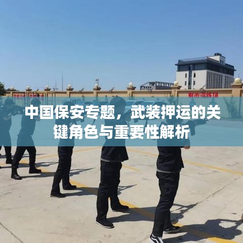 中国保安专题，武装押运的关键角色与重要性解析