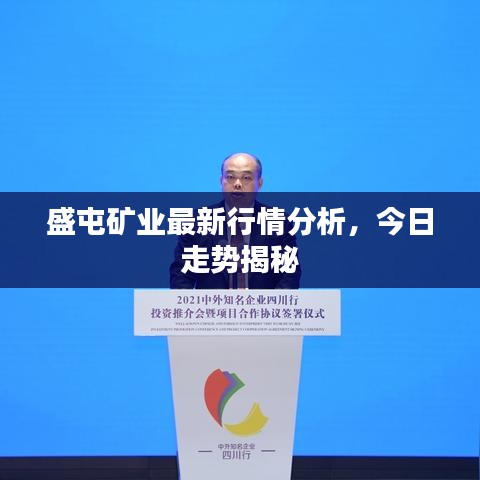 盛屯矿业最新行情分析，今日走势揭秘