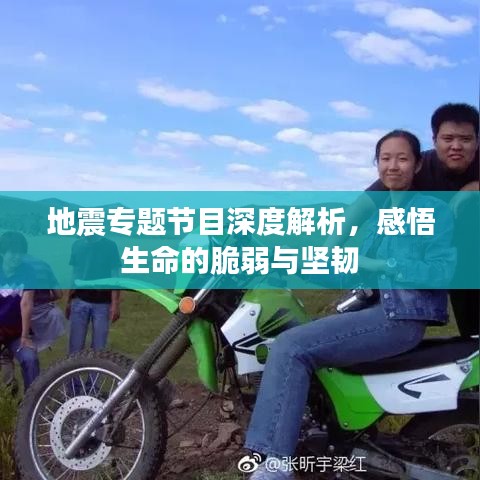 地震专题节目深度解析，感悟生命的脆弱与坚韧