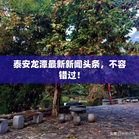 泰安龙潭最新新闻头条，不容错过！
