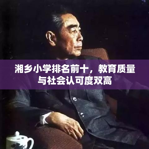 湘乡小学排名前十，教育质量与社会认可度双高