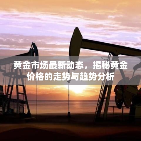 黄金市场最新动态，揭秘黄金价格的走势与趋势分析