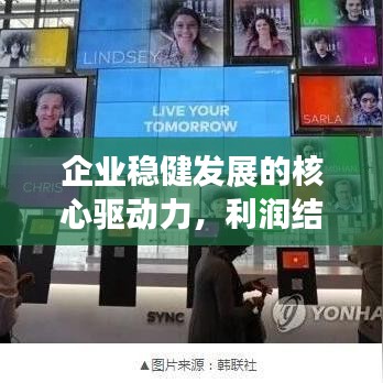 企业稳健发展的核心驱动力，利润结构持续优化之道