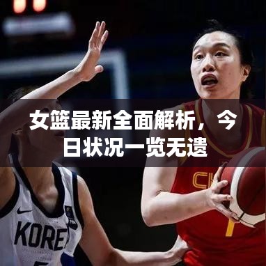 女篮最新全面解析，今日状况一览无遗