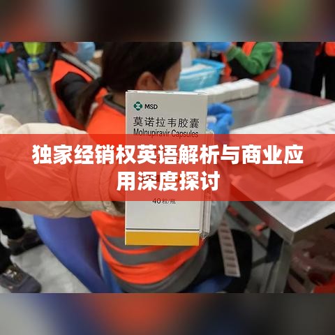 独家经销权英语解析与商业应用深度探讨