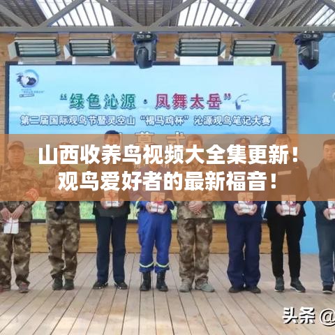 山西收养鸟视频大全集更新！观鸟爱好者的最新福音！