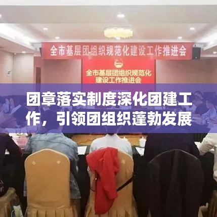 团章落实制度深化团建工作，引领团组织蓬勃发展之路