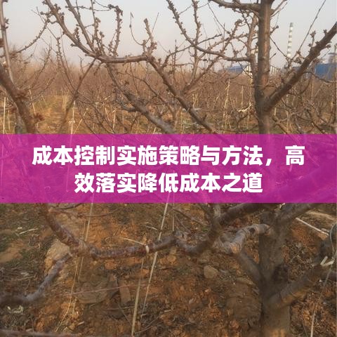 成本控制实施策略与方法，高效落实降低成本之道