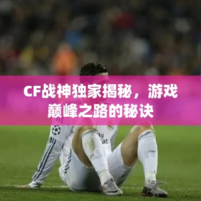 CF战神独家揭秘，游戏巅峰之路的秘诀