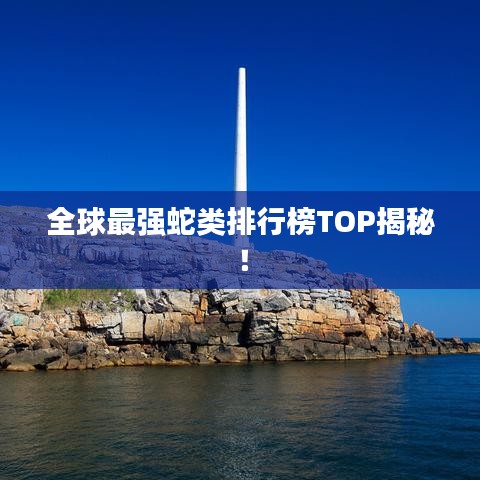 全球最强蛇类排行榜TOP揭秘！