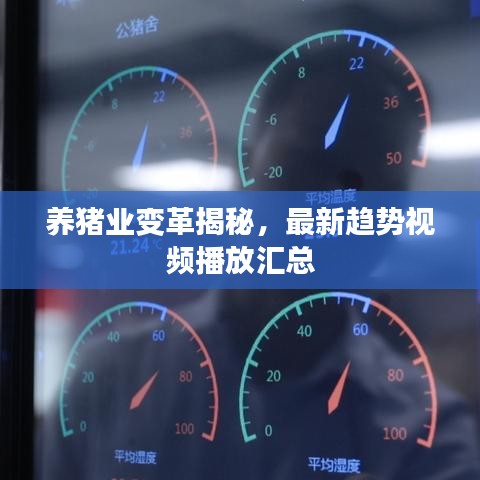 养猪业变革揭秘，最新趋势视频播放汇总